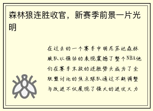 森林狼连胜收官，新赛季前景一片光明